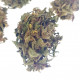 Susz konopny Hemp Flover 5g 3,45% CBD