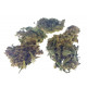 Susz konopny Hemp Flover 5g 3,45% CBD