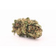 Susz Konopny Hemp FloveR Strawberry 12,5% CBD 1g